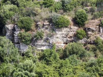 Dalla masseria raggiungiamo il lato sinistro della lama, dove tramite una terrazza � possibile ammirare le alte pareti rocciose che scendono a picco e si tuffano in un �mare� di alberi e arbusti
